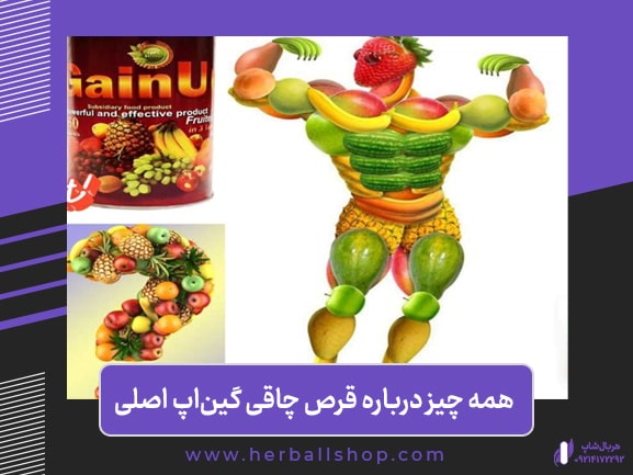 قرص چاقی بدن Gain Up