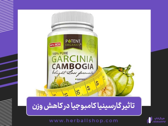 تاثیر گارسینیا کامبوجیا در کاهش وزن