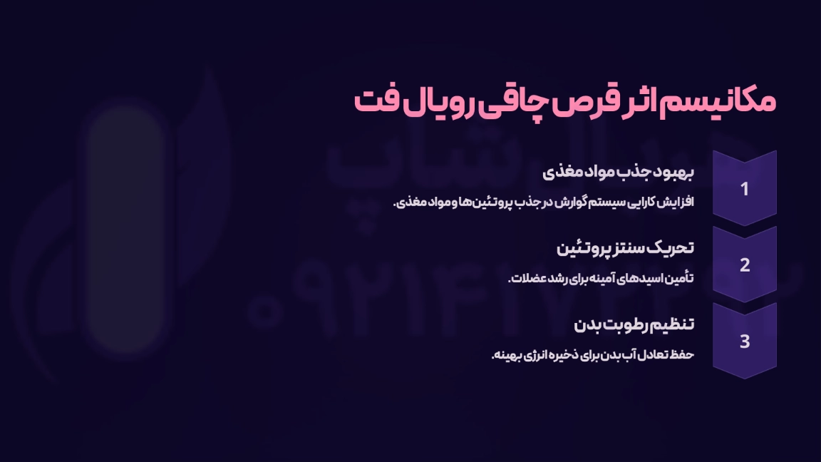 مکانیسم اثر قرص چاقی رویال فت