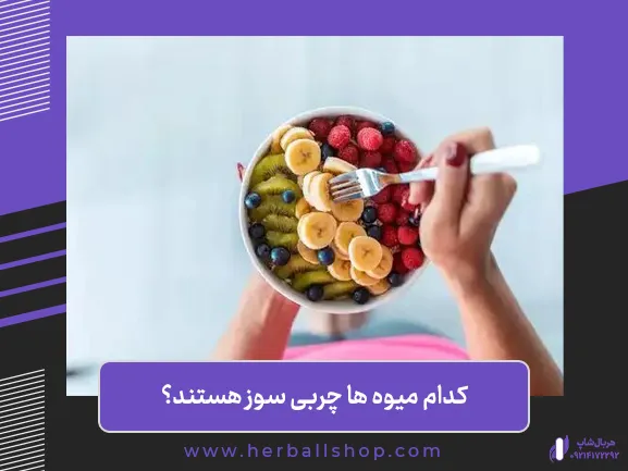 fruit_11zon میوه های چربی سوز