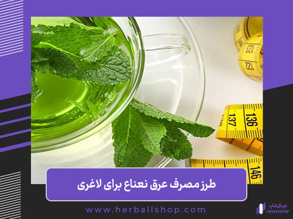 how-to-use-peppermint-tea-for-weight-loss (1) عرق نعنا و لاغری